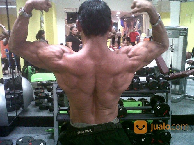 Spesialis Personal Trainer Surabaya Berpengalaman