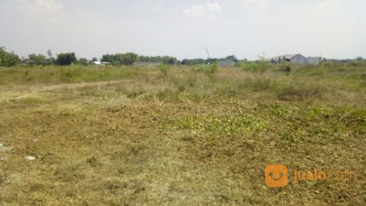 Tanah Kavling Strategis Sidoarjo, Bumi Mega Wilayut Sukodono