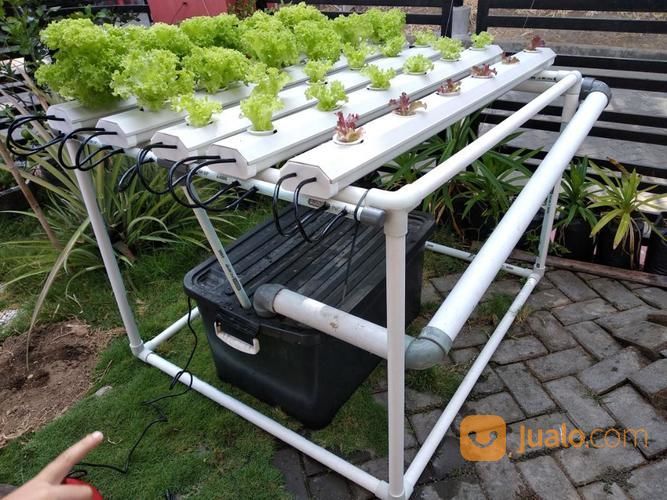 Hidroponik Sistem NFT Skala Hobby/Pipa Hidroponik