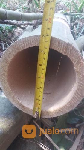 Bambu Petung Pasuruan