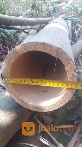 Bambu Petung Pasuruan