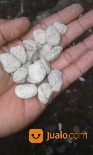 Batu Apung Murah Semarang
