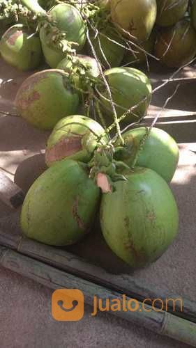 Grosir Kelapa Ijo & Kelapa Muda Khusus Jakarta, Bekasi Dan Cikarang..Buktikan Gan