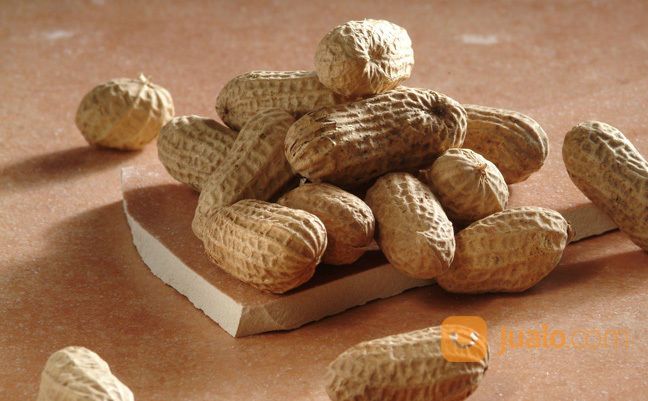 Kacang Goreng Asin Mirasa Asli Oleh-Oleh Khas Purbalingga