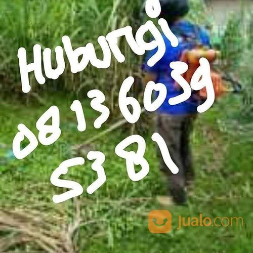 Jasa Potong Rumput Dan Jasa Potong Pohon Area Kota Banda Aceh Dan Aceh Besar