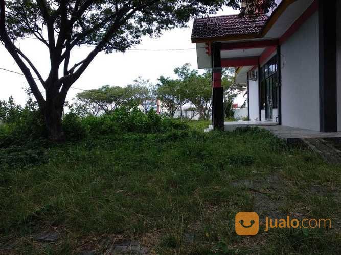 Jasa Potong Rumput Dan Jasa Potong Pohon Area Kota Banda Aceh Dan Aceh Besar