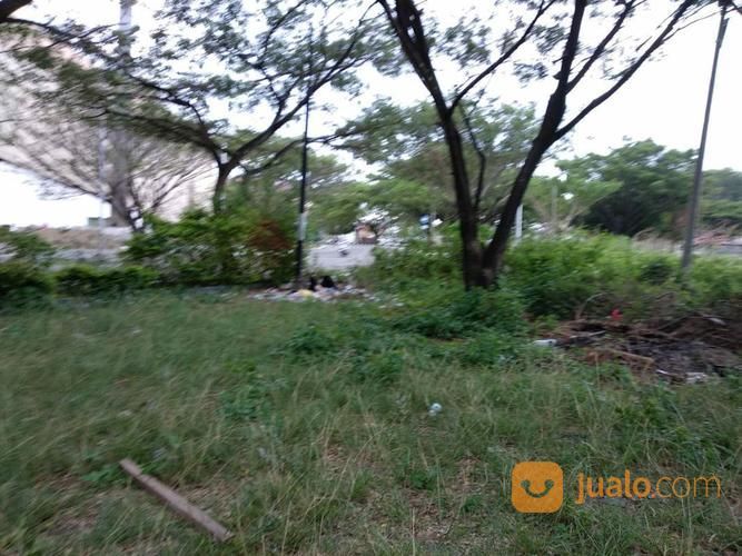 Jasa Potong Rumput Dan Jasa Potong Pohon Area Kota Banda Aceh Dan Aceh Besar