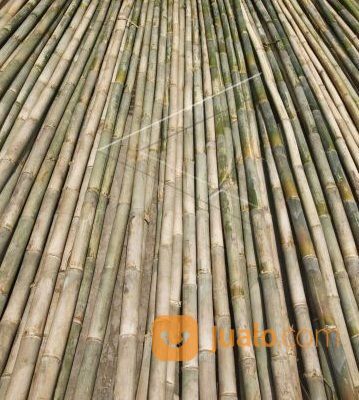 Bambu Apus Untuk Keperluan Proyek