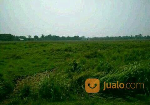 Tanah Cikande Industri 20 Hektar di Cikande Kab Serang Prop Banten