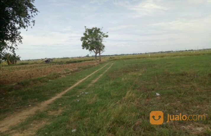 LAHAN ZONA PERUMAHAN 200 Ha - BEKASI