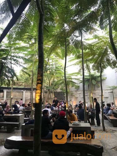 Pohon Solobium 081292127731