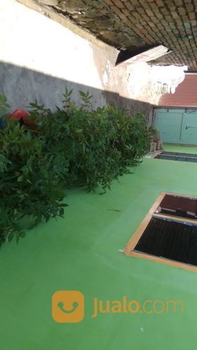 Paket 20 Polibeg Bibit Andaliman