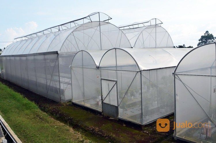 Plastik UV Greenhouse Harga Pabrik - Lim Corporation