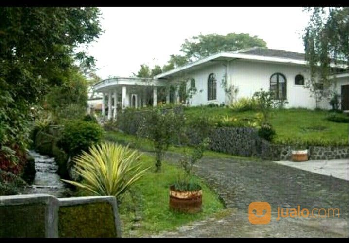 VILLA DI KAWASAN WISATA PUNCAK, TANAH BESAR 4.5 HA