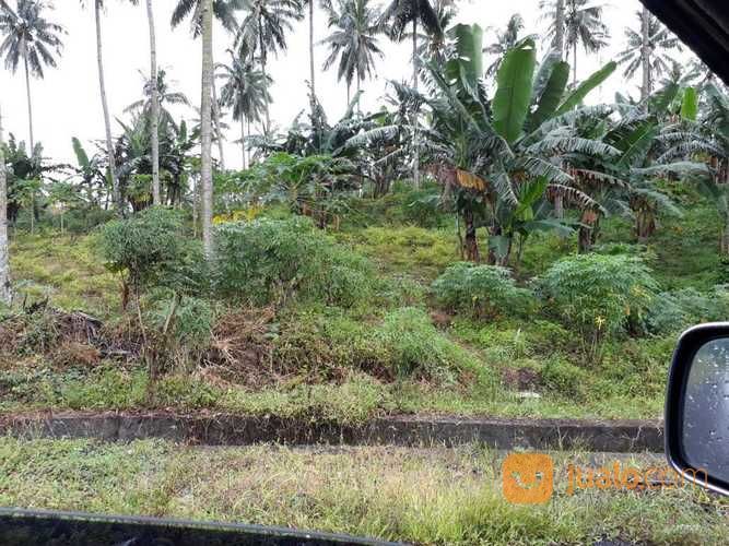 Tanah Di Pulau Likupang