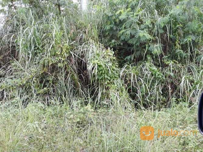 Tanah Di Pulau Likupang