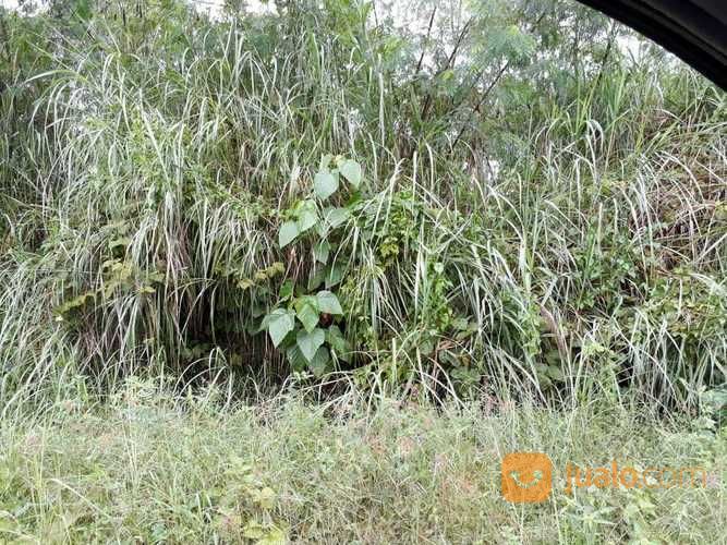 Tanah Di Pulau Likupang