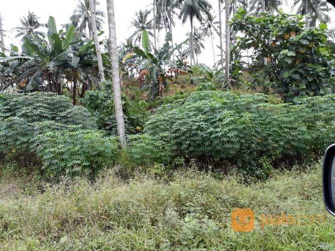 Tanah Di Pulau Likupang