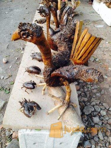 Kerajinan Akar Bambu