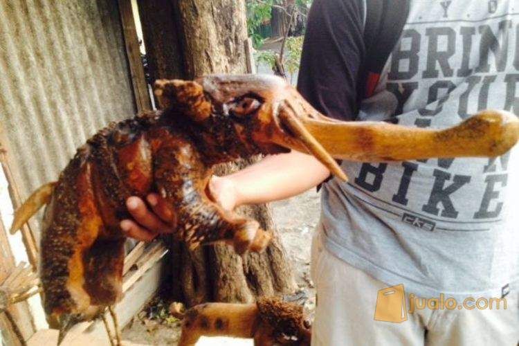 Kerajinan Akar Bambu