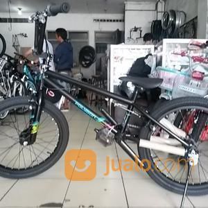 Sepeda Polygon BMX