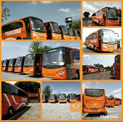 081392403067, Sewa Bus Pariwisata, Sewa Bus Panorama, Sewa Bus Jogja