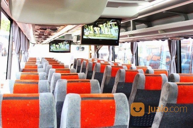 081392403067, Sewa Bus Pariwisata, Sewa Bus Panorama, Sewa Bus Jogja