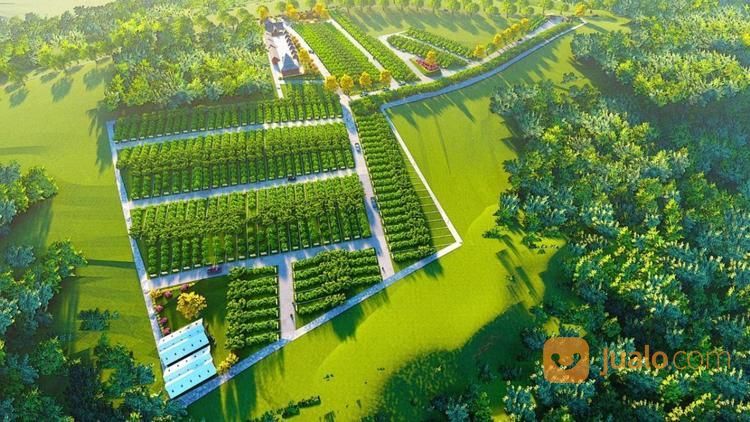 Kavling Produktif Taman Tahfidz Firdaus Purwakarta