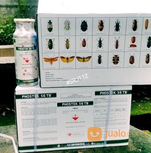 FUMIGASI PHOSTEK