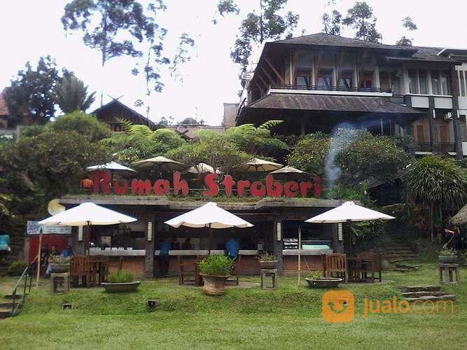 Drop Antar Jemput Dan Citytour