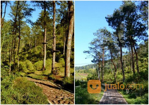 Paving Tegel Ubin Lantai Batu Alam Natural Alam