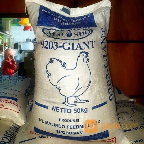 Ready Pakan Komplit Giant Untuk Ayam Pedagin Dan Petelur