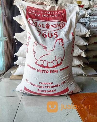 Ready Pakan Komplit Giant Untuk Ayam Pedagin Dan Petelur