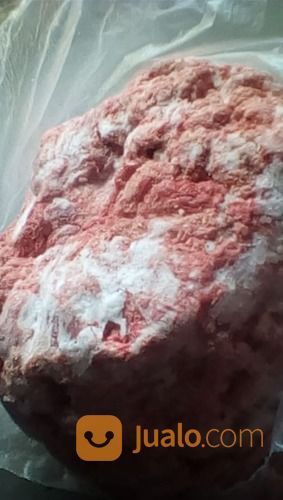 Pakan Lele Alternatif Ccm