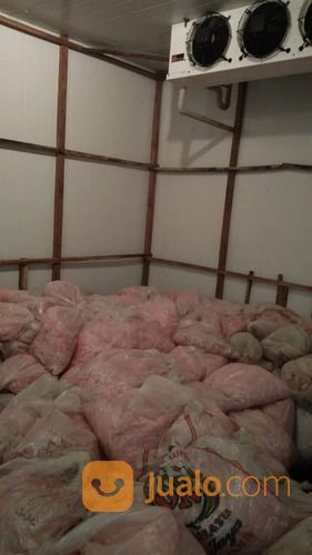 Pakan Lele Alternatif Ccm