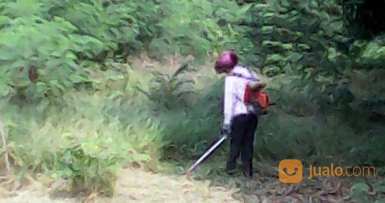 Rental Mesin Potong Rumput Gendong Wa 085641290679