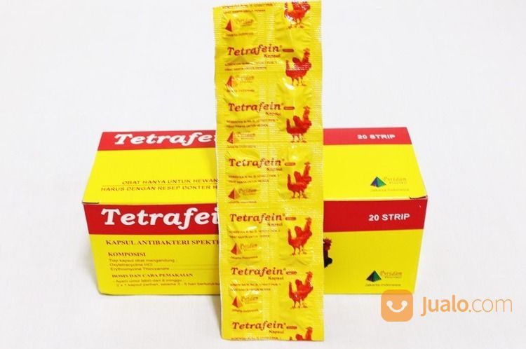 WA Kosong85dua27sembilan0duakosongduakosong Importir Promo Apa Obat Ayam Bangkok Sakit Banten