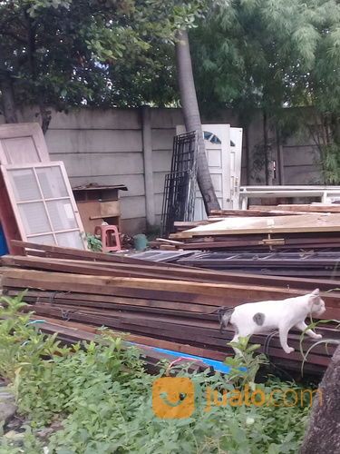 Beli Kayu Bekas Bongkaran.