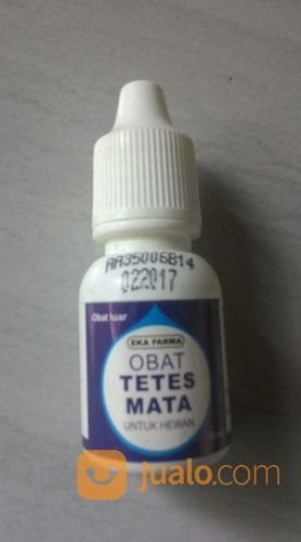 Obat Ayam Sakit Mata Samarinda