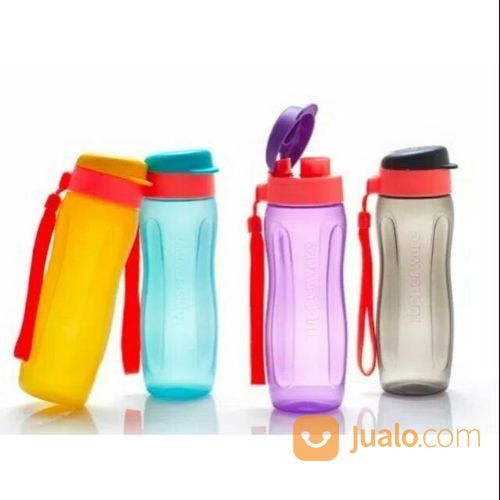 Eco Bottle Fashion 500ML Botol Minum Anak Bekal Murah Tumbler Gelas Air Termos Tempat Tupperware