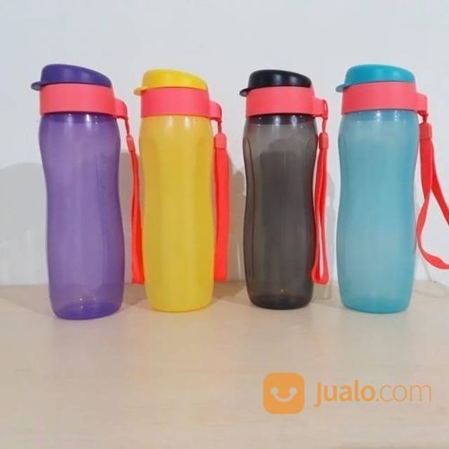 Eco Bottle Fashion 500ML Botol Minum Anak Bekal Murah Tumbler Gelas Air Termos Tempat Tupperware