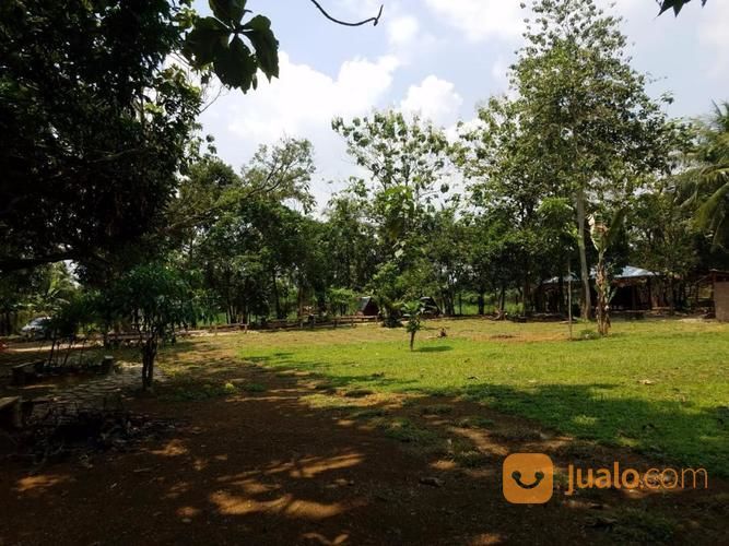 Medan Edu Fun - Outbound Di Medan