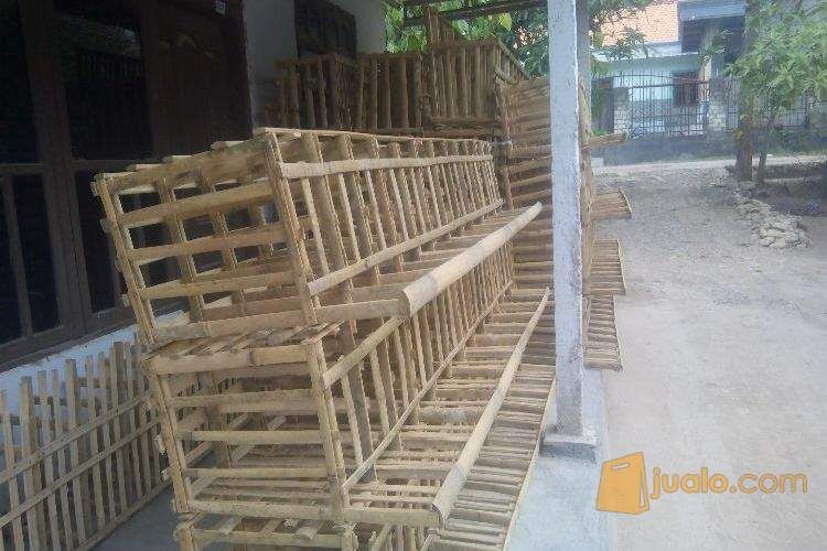 kandang ayam petelur dari bambu
