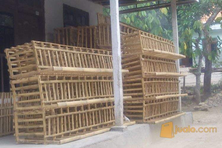 kandang ayam petelur dari bambu