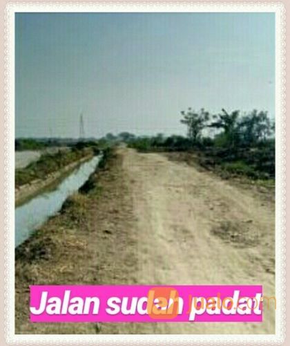 Tanah Kragilan 10 Hektar Zona Industri Kab Serang Banten