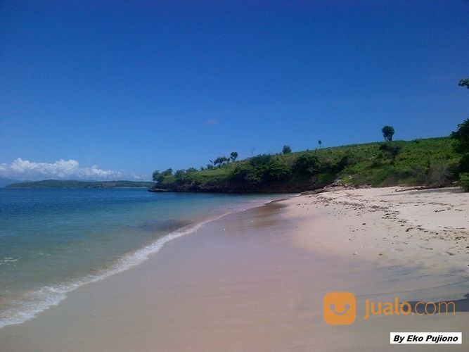 Tanah 21 Hektar Pantai Pink Telone Lombok Timur - NTB