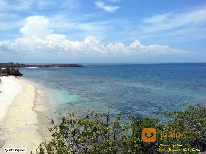 Tanah 21 Hektar Pantai Pink Telone Lombok Timur - NTB