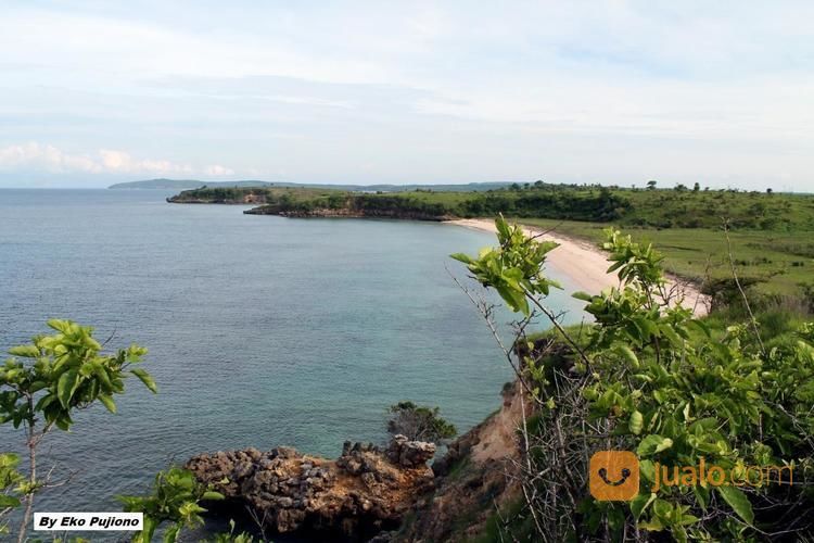 Tanah 21 Hektar Pantai Pink Telone Lombok Timur - NTB