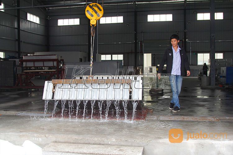 Mesin Es Balok DK5 (500 Kg/24 Jam)