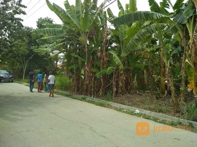 Tanah, Jl. Sri Amor Tambun Bekasi